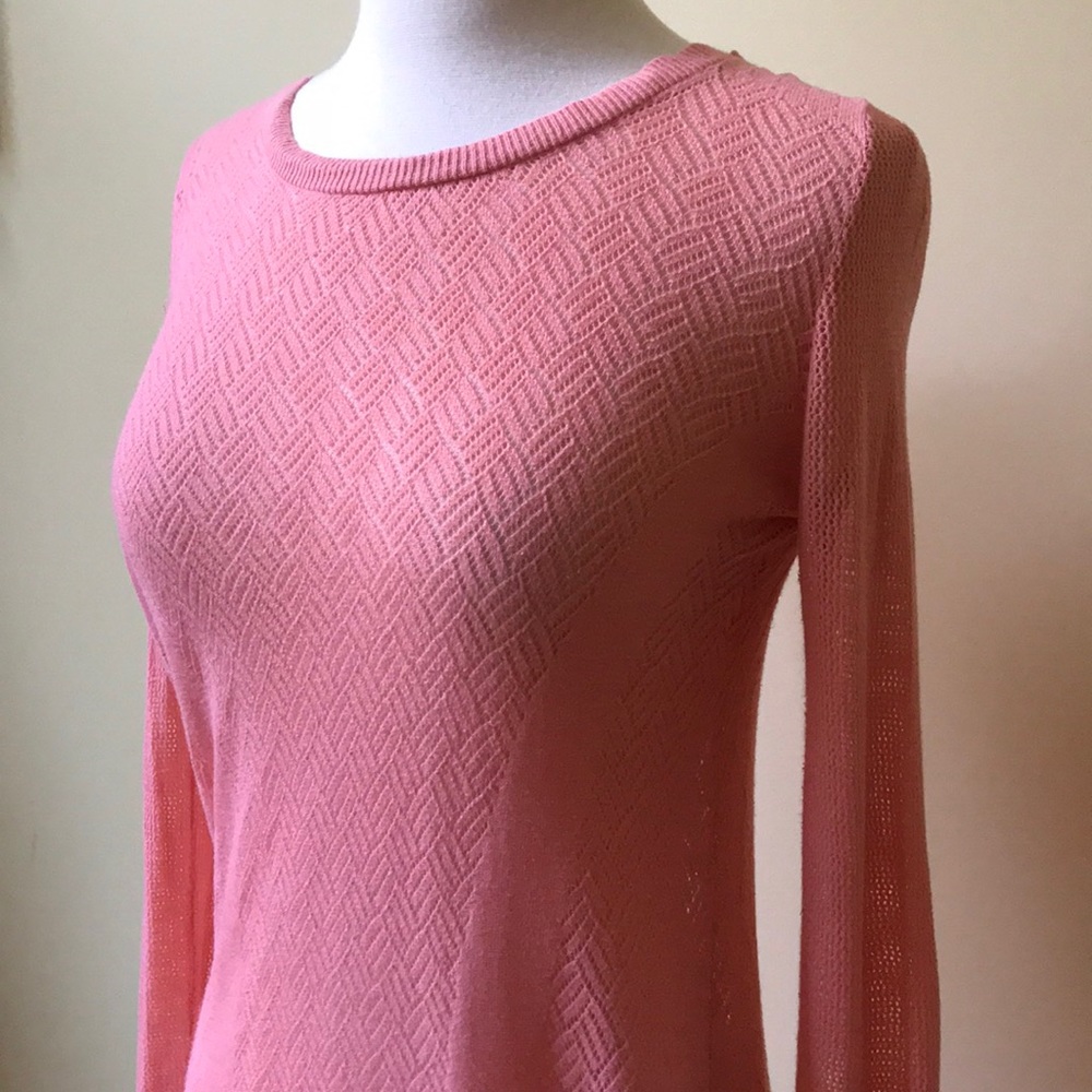 Shrinking Violet Sheer Long Sleeve Back Button Top